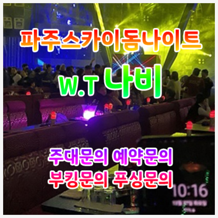 야당스카이돔나이트