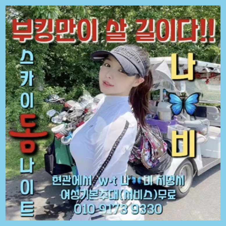 야당스카이돔나이트